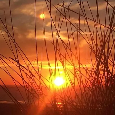 Hébergement de vacances Strandhaus Direkt Am By Interhome Wijk aan Zee