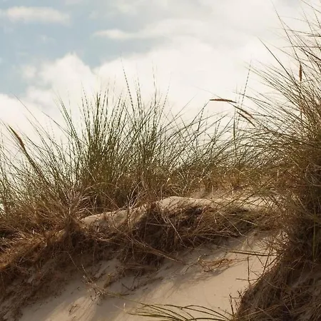 Strandhaus Direkt Am By Interhome Hébergement de vacances Wijk aan Zee
