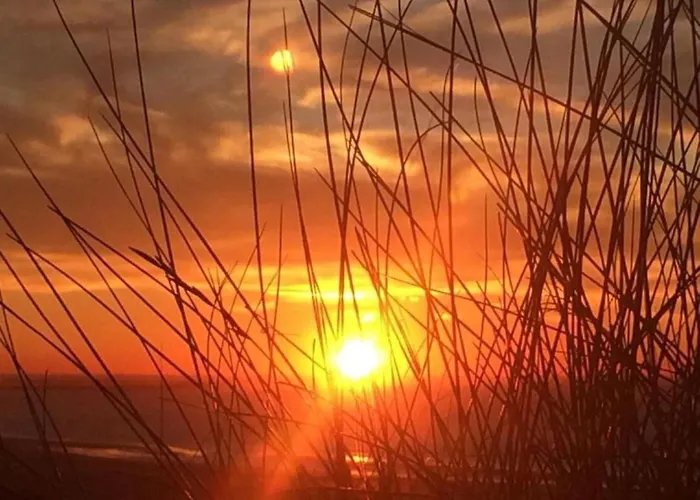 Hébergement de vacances Strandhaus Direkt Am By Interhome Wijk aan Zee