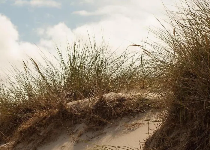 Strandhaus Direkt Am By Interhome Hébergement de vacances Wijk aan Zee
