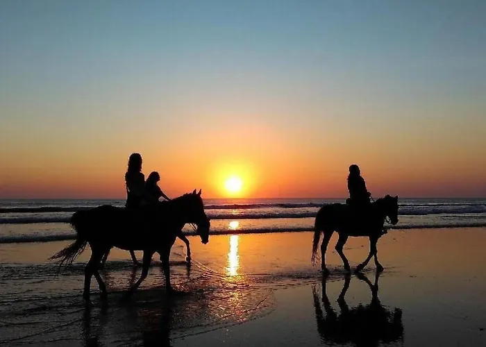 Hébergement de vacances Strandhaus Direkt Am By Interhome